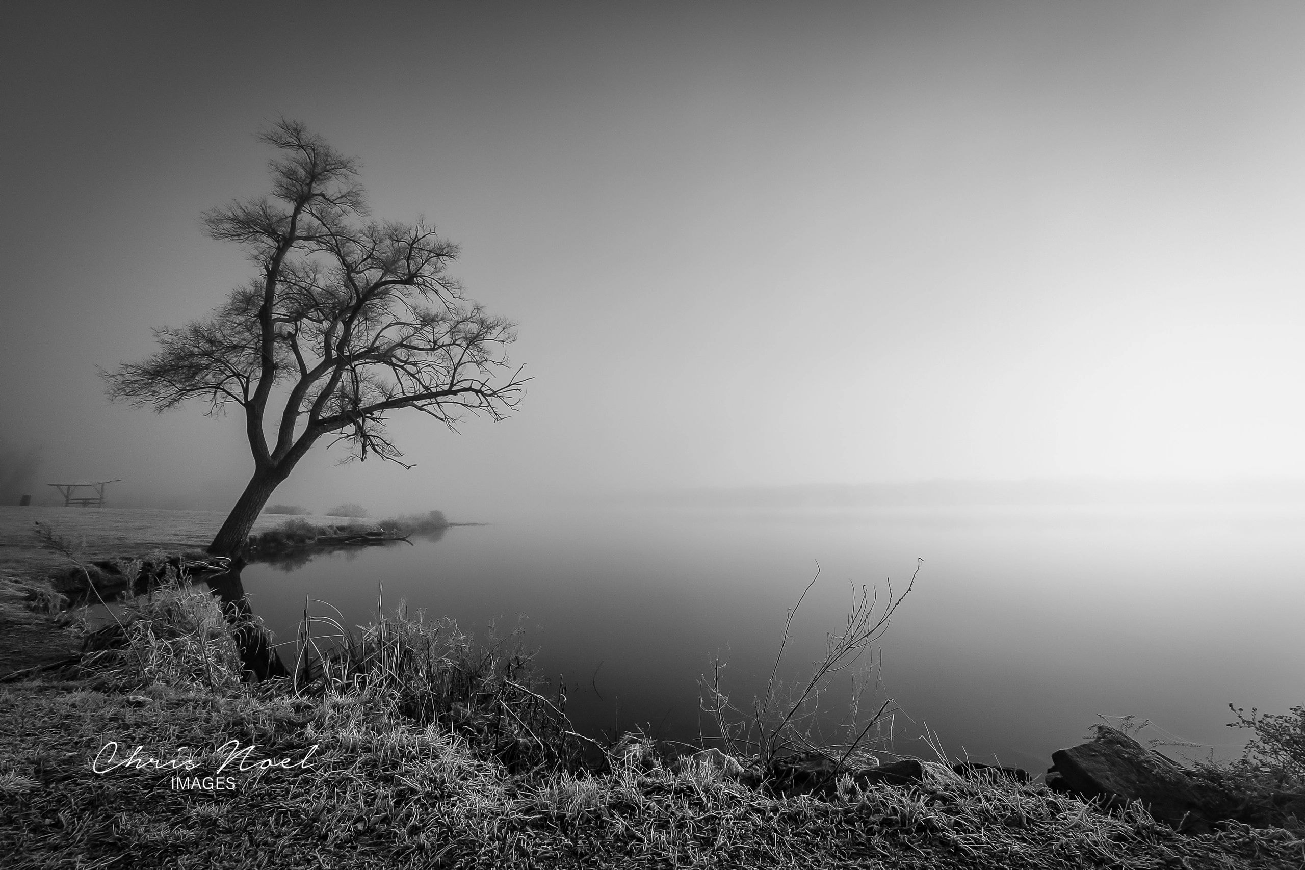Misty fog rolling over the Miola landscape