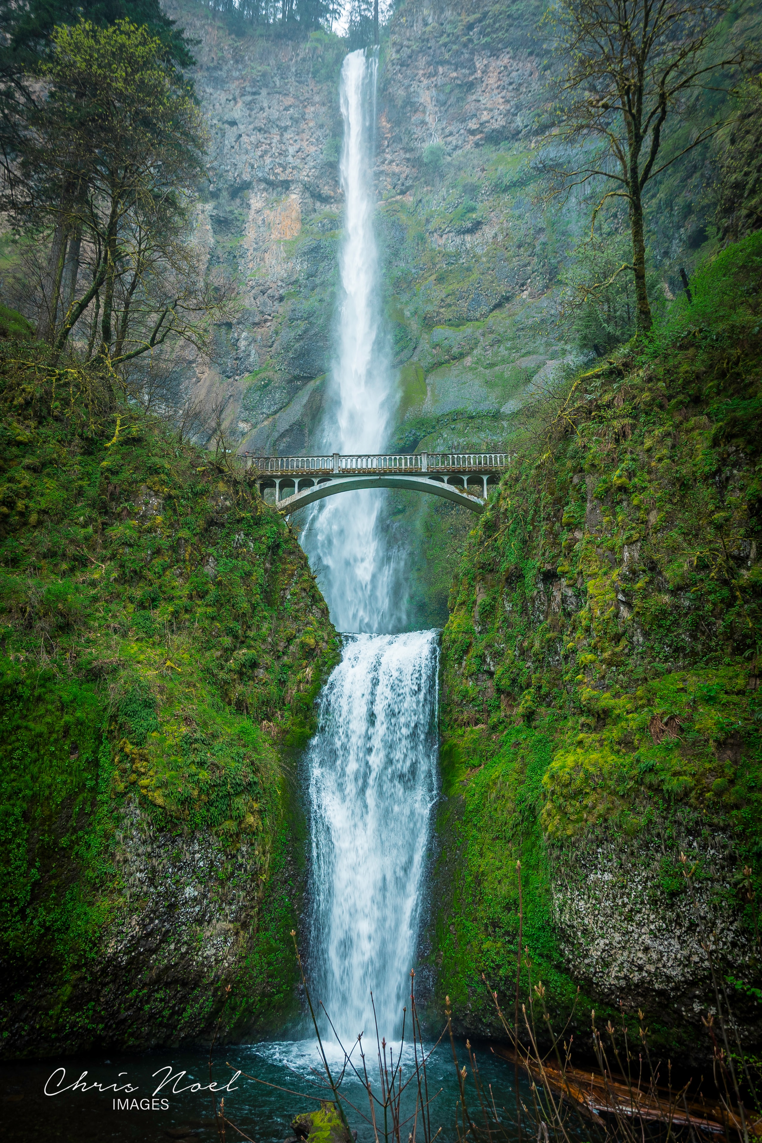 Multnomah Falls with arched bridge surrounded by lush green moss-covered cliffs